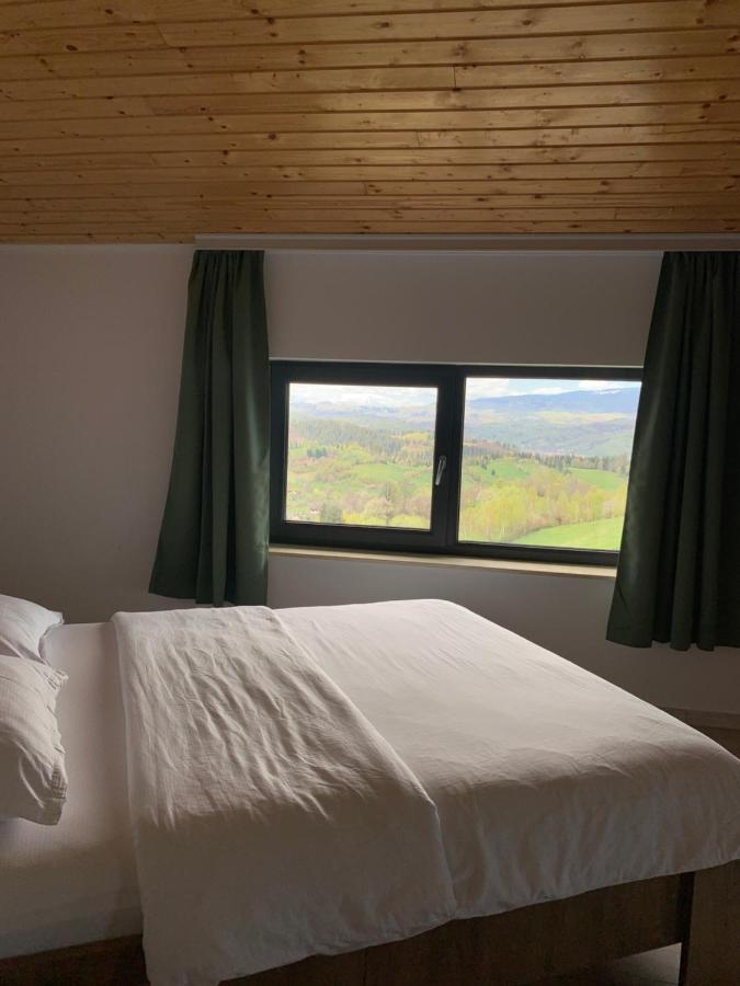 Vila Panorama Sohodol  Екстериор снимка